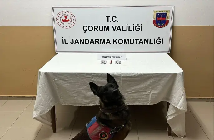 Çorum’da uyuşturucu hapla yakalanan 3 kişi gözaltına alındı
