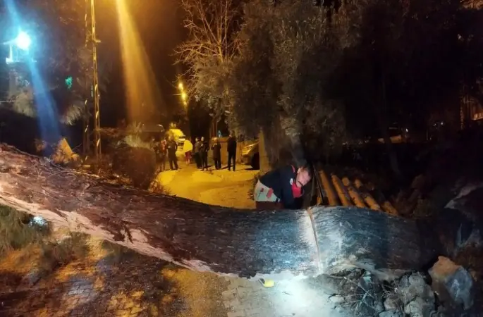 Defne’de devrilen ağaç yolu kapattı

