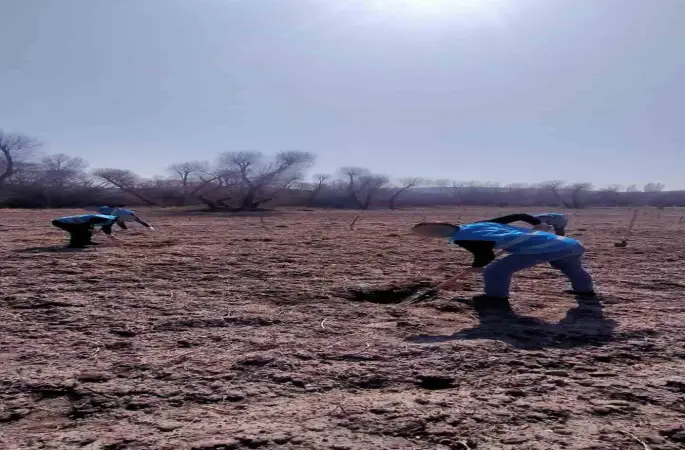 Denetimli serbestlik yükümlüleri ’Adalet Ormanı’nda meyve yetiştiriyor
