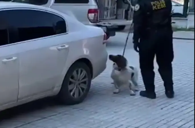 Denizli’de narkotik operasyonunda 6 kilo esrar ele geçirildi
