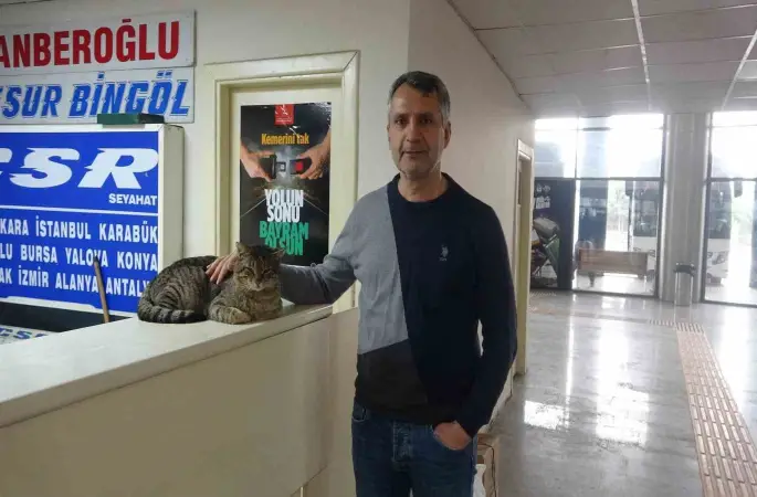 Depremde kaybolan ve 44 gün sonra ‘Kadir’ diyerek bulabildiği otogarın maskotu kedisine gözü gibi bakıyor
