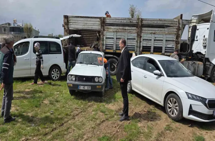 Dicle’de çiftçilere yüzde 100 hibeli bin 176 adet fıstık çöğürü dağıtıldı
