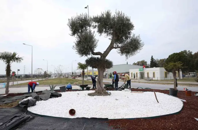 Didim Belediyesi, Didim’e çıkan yolları güzelleştirdi
