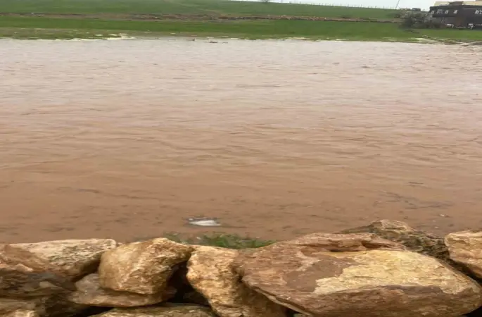 Diyarbakır’da sağanak nedeni ile onlarca koyun telef oldu
