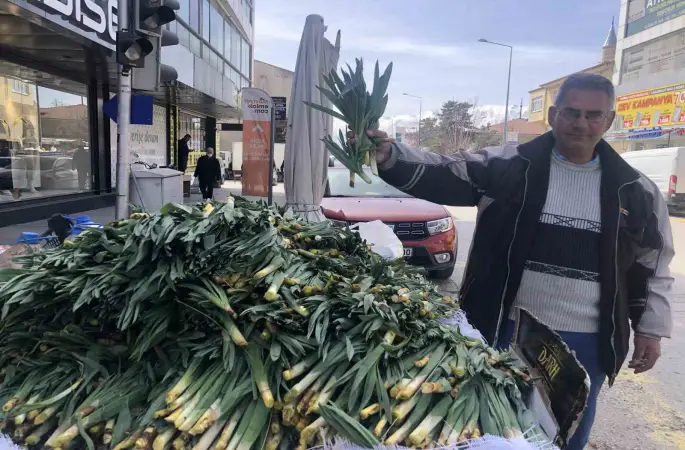Doğal antibiyotik çiriş otu Erzincan tezgahlarında yerini aldı
