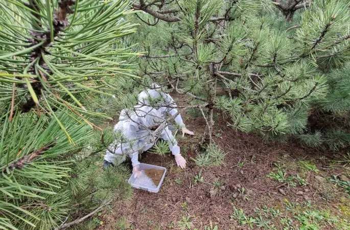 Doğanın sessiz kahramanları görev başında
