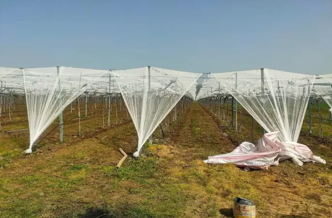 Dolu korkusuna fileli önlem
