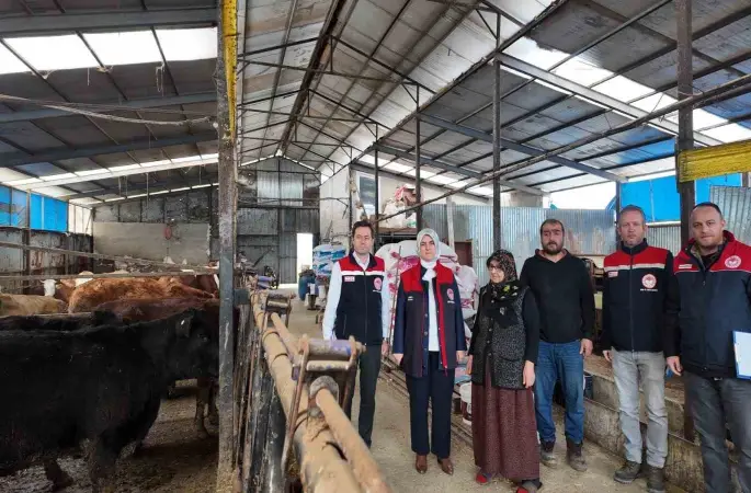 Düzce’de kadın yetiştiriciye etçi ırk düve desteği
