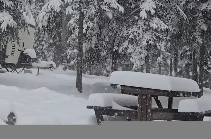 Düzce’nin yüksek kesimleri beyaza büründü: Kar kalınlığı 40 santimetreye ulaştı
