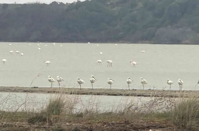 Eceabat Kaymakamı Kerem Yenigün’den Suvla Bölgesinde Doğa İncelemesi
