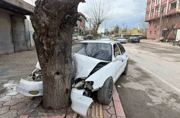 Ehliyetsiz sürücünün kontrolünü kaybettiği otomobil ağaca çarptı... O anlar kamerada
