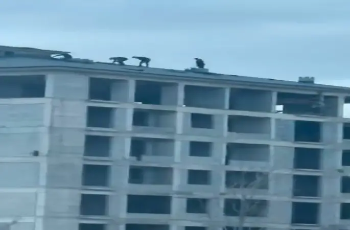 Elazığ’da inşaat işçilerinin tehlikeli çalışması kameraya yansıdı
