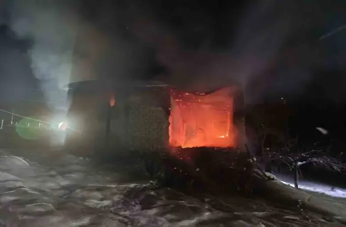 Erciş’te 3 ayrı yangın
