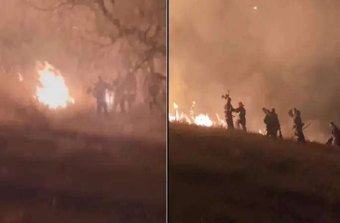 Ermenistan sınırında korkutan örtü yangını