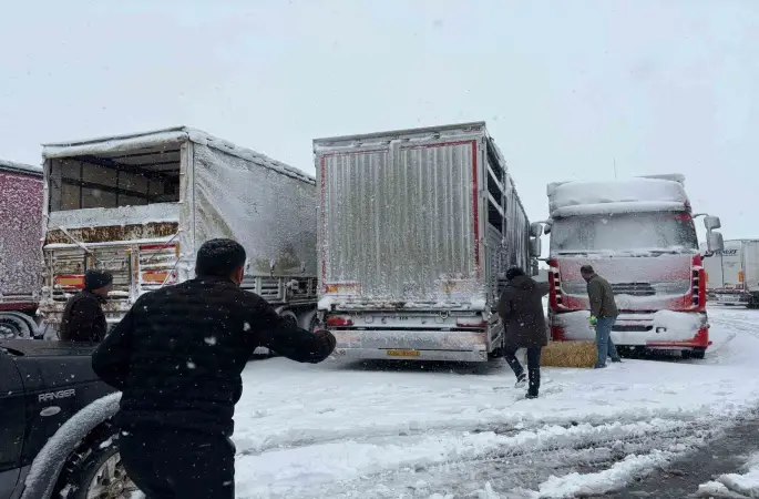 Erzincan’da yolda kalan 200 büyükbaş hayvana yem takviyesi
