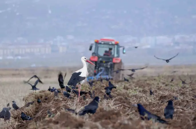 Erzincan’da zirai don uyarısı
