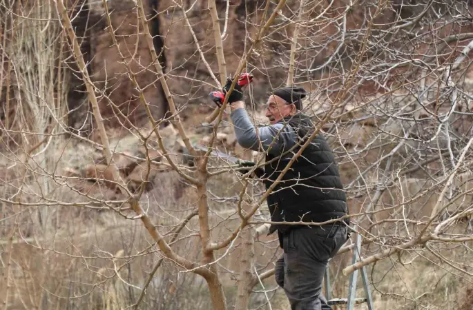 Erzurum’da köylerde bahçe bakım çalışmaları başladı
