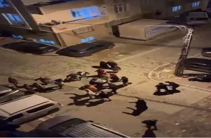 Esenyurt’ta gürültü nedeniyle ortalık karıştı: Ev basıp hamile kadını dövdüler
