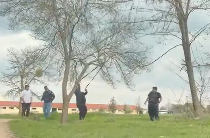 Eskişehir’de ‘mangal için ağaç dalını kırmaya çalıştılar’ iddiası
