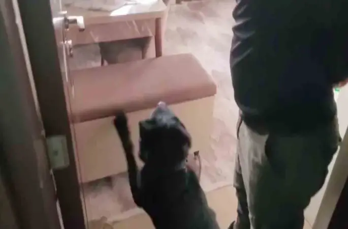 Evindeki sandıktan 814 gram eroin çıktı, "Satmıyorum, kullanıcıyım" dedi
