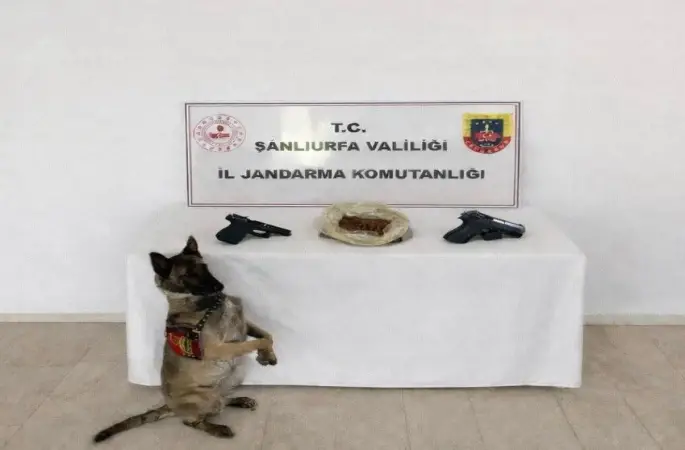 Eyyübiye’de uyuşturucu operasyonu: 1 tutuklama
