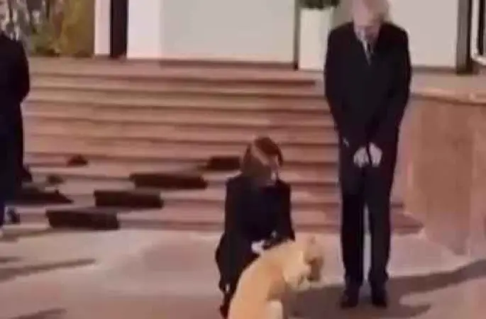 Moldova Cumhurbaşkanı Sandu'nun köpeği Avusturya Cumhurbaşkanı Bellen'in elini ısırdı