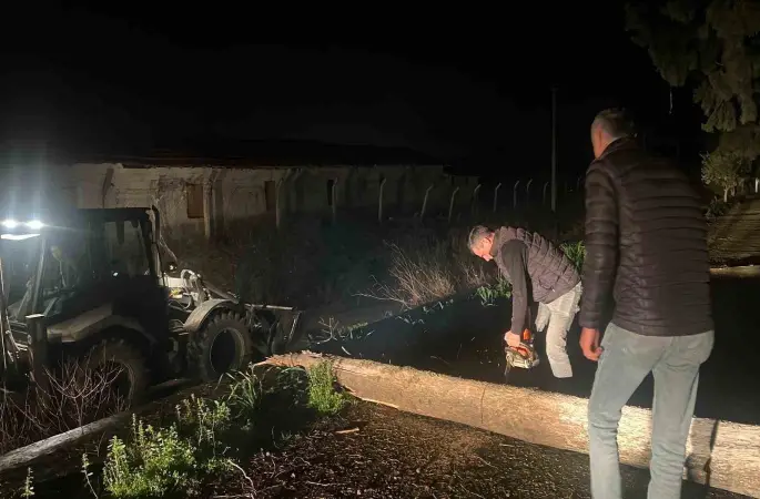 Fırtına mezarlıkta ağaçları devirdi, belediye ekipleri anında müdahale etti
