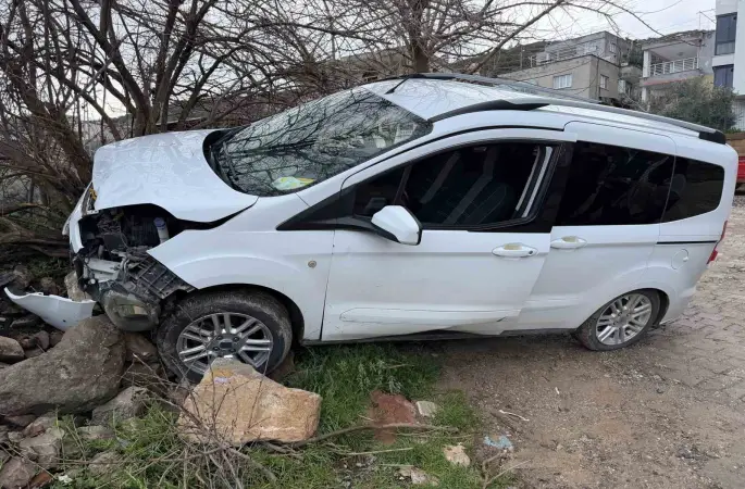 Freni boşalan hafif ticari araç ağaca çarptı: 1 yaralı
