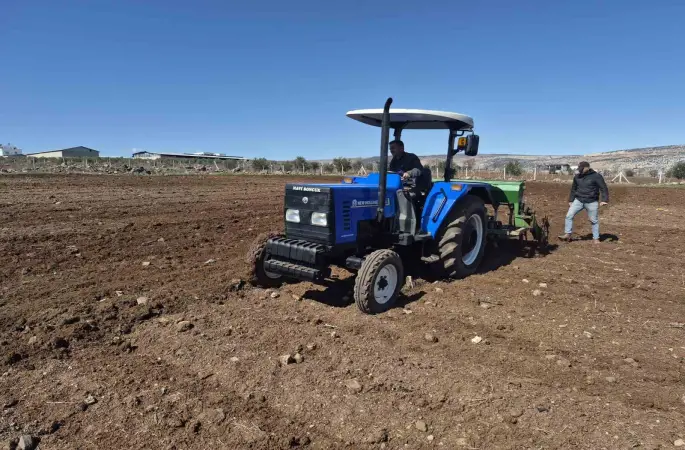 Gaziantep’te nohut ekimi başladı
