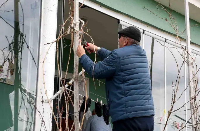 Geçen yıl don vurmuştu, Yozgatlı üzüm üreticisi bu yıl umutlu
