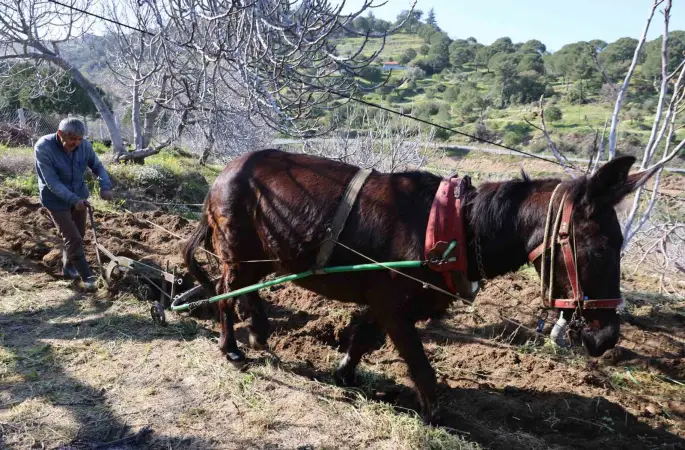 Gençler köyü terk edince iş yaşlılara kaldı
