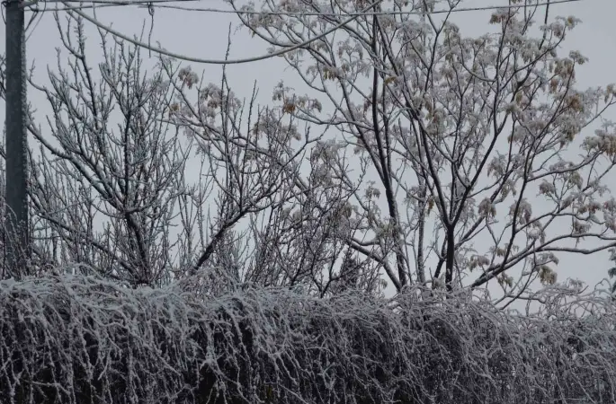 Gercüş beyaz örtüyle kaplandı
