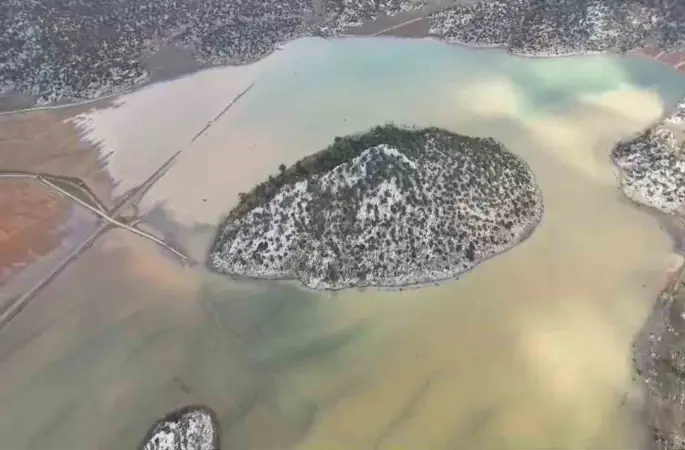 Gören "Meke" sandı, gerçek başka çıktı
