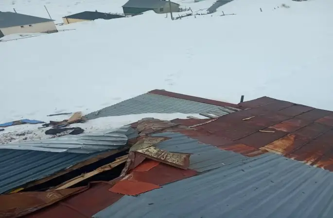 Gümüşhane yaylalarında ayı dehşeti devam ediyor
