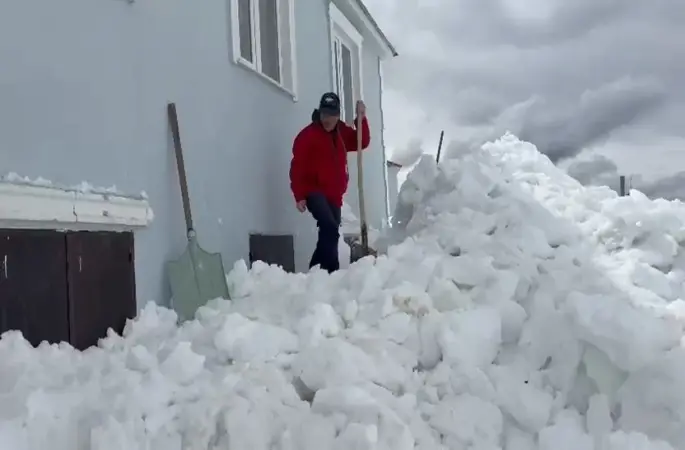 Gümüşhane’de akılalmaz olay: Ayılar bu kez kapıdan değil pencereden girdi
