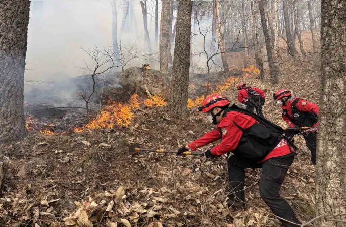 Güney Kore’de 3 gündür devam eden orman yangınında 190 hektarlık alan küle döndü
