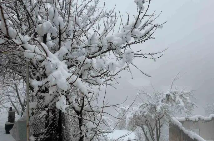 Hakkari’de 82 yerleşim yerinin yolu kapandı
