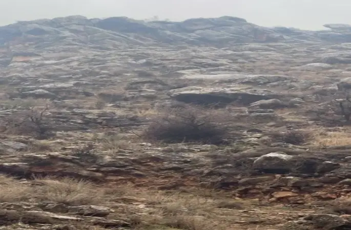 Hasankeyf’te örnek davranış: Sürücü durdu, dağ keçileri geçti
