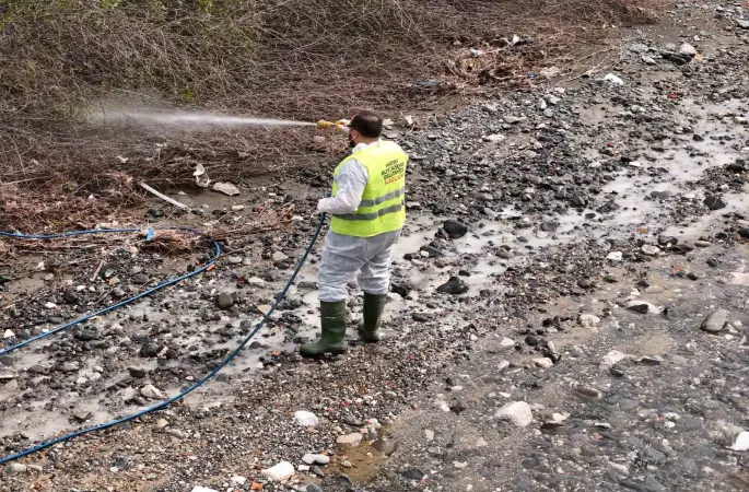 Hatay Büyükşehir Belediyesi haşereyle mücadele çalışmalarına devam ediyor
