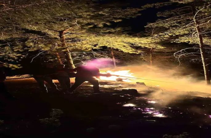 Hatay’da ormanlık alanda çıkan yangın büyümeden söndürüldü
