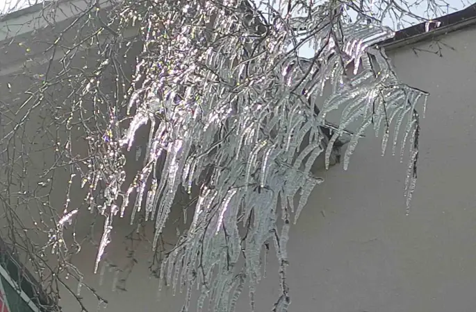 Hava sıcaklığı eksi 10’a düştü, ağaç dalları dondu
