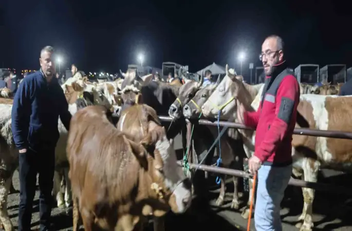 İç Anadolu’nun en büyük hayvan pazarında yoğun kurban mesaisi başladı

