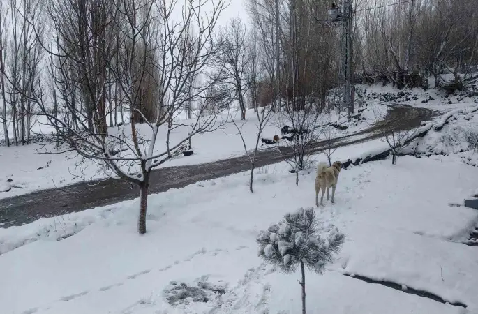 Iğdır’da nisan sürprizi: Yüksek kesimlerde kar, merkezde yağmur etkili
