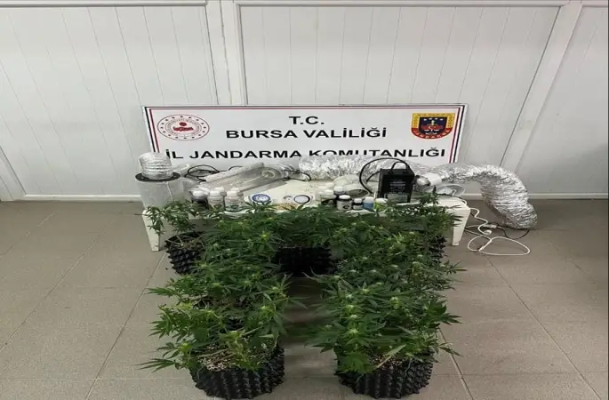 İnegöl’de uyuşturucu operasyonu: Evde esrar üretim düzeneği ele geçirildi
