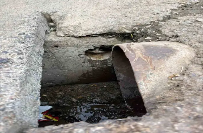 İskenderun’da rögar borusuna düşen yavru kediler kurtarıldı
