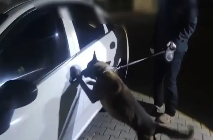 İstanbul’dan takibe alındılar, Sakarya’da yakalandılar: 2 kişi tutuklandı
