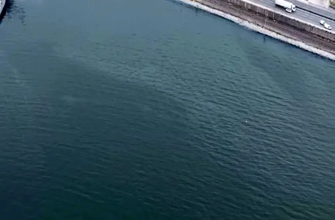 İzmir Körfezi’nde kirlilik alarmı: Aynı tehdit 11. kez görüldü
