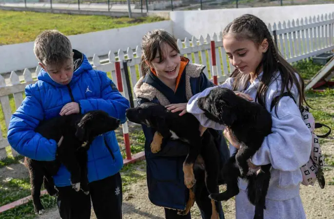 İzmir’de 2 bin 300 patili yuva bekliyor
