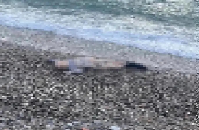 İzmir’de deniz kıyısında çocuk cesedi
