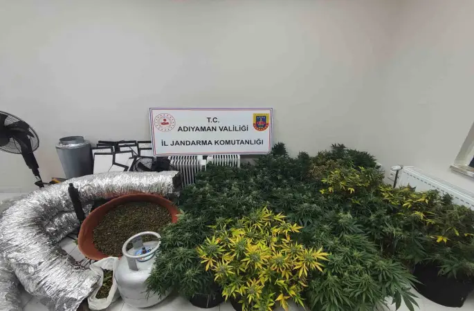 Jandarmadan uyuşturucu operasyonu: 1 gözaltı
